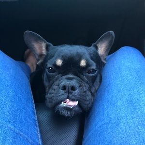 Meet your Posher, Helena